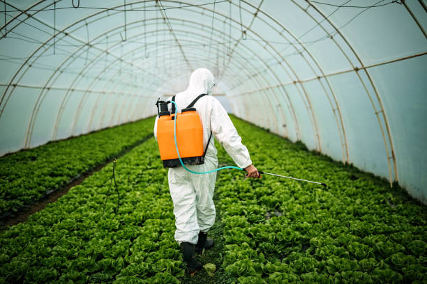 Best Pest Prevention Services  in Pocahontas, IA
