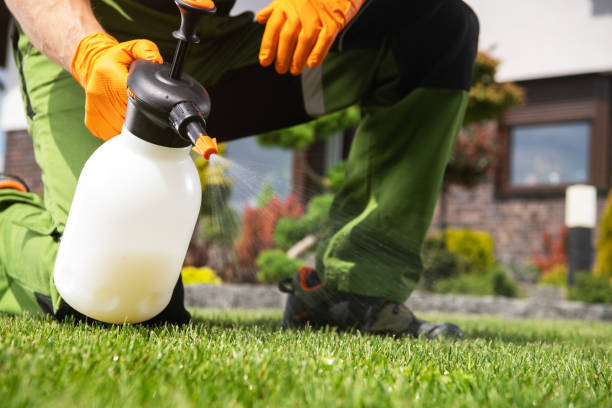 Best Best Pest Control Companies  in Pocahontas, IA
