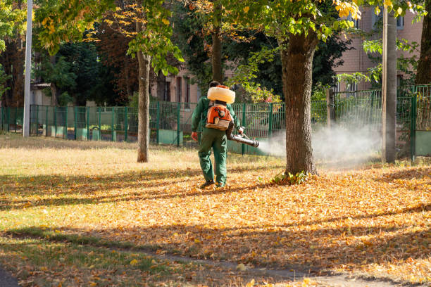 Best Mosquito Control Services  in Pocahontas, IA