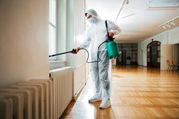 Professional Pest Control in Pocahontas, IA