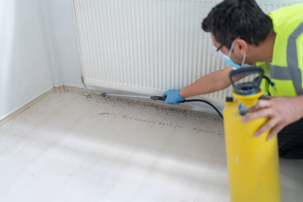 Best Pest Inspection Near Me  in Pocahontas, IA